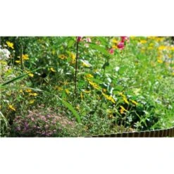 GARDENA Beeteinfassung, 15cm Hoch, Begrenzung -Gardena GARDENA Beeteinfassung 15cm hoch Begrenzung@@9wihzu16 2