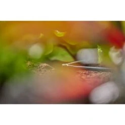 GARDENA Micro-Drip-System L-Stück 4,6mm (3/16"), Verbindung 9 GARDENA Micro-Drip-System L-Stück 4,6mm (3/16"), Verbindung -Gardena GARDENA Micro Drip System L St ck 4 6mm 3 16 Verbindung@@1890311 4