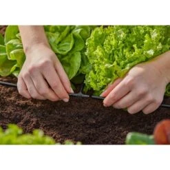 GARDENA Micro-Drip-System T-Stück 4,6mm (3/16"), Verbindung -Gardena GARDENA Micro Drip System T St ck 4 6mm 3 16 Verbindung@@1890310 2