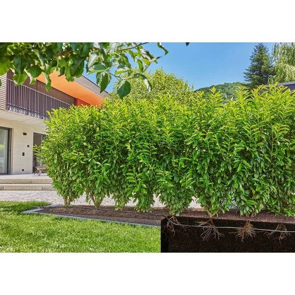 GARDENA Micro-Drip-System Tropfbewässerung Hecken/Büsche Set, 50 Meter, Tropfer – Bild 2