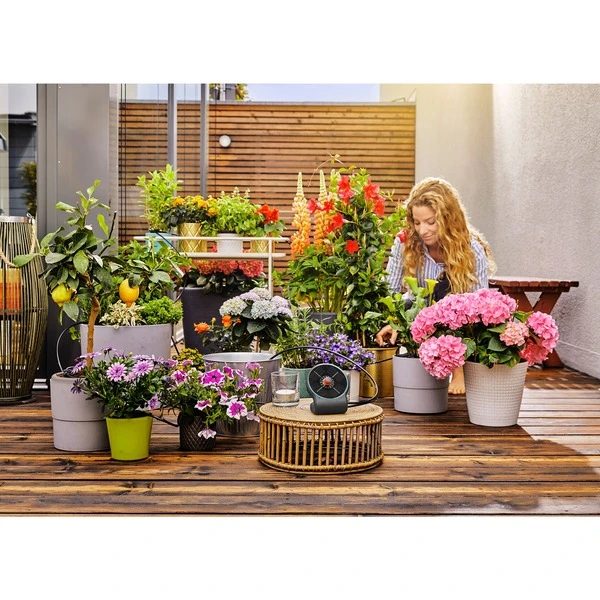 GARDENA Solar-Bewässerung AquaBloom Set, Inkl. Wasserbehälter, Bewässerungssteuerung 2 GARDENA Solar-Bewässerung AquaBloom Set, Inkl. Wasserbehälter, Bewässerungssteuerung – Bild 2