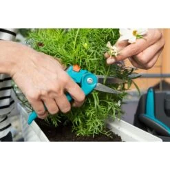 GARDENA City Gardening Balkonschere (8707-20), Gartenschere -Gardena GARDENA city gardening Balkonschere 8707 20 Gartenschere@@9whghu49 2